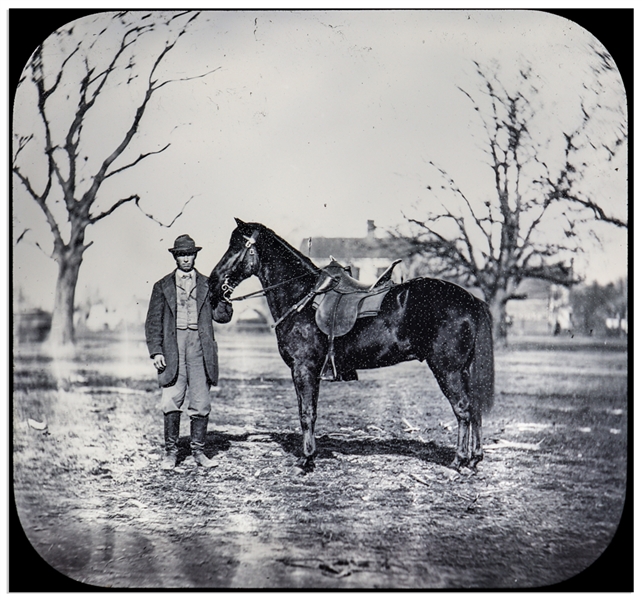Magic Lantern Slide of Ulysses S. Grant's Civil War Horse, ''Jeff Davis''